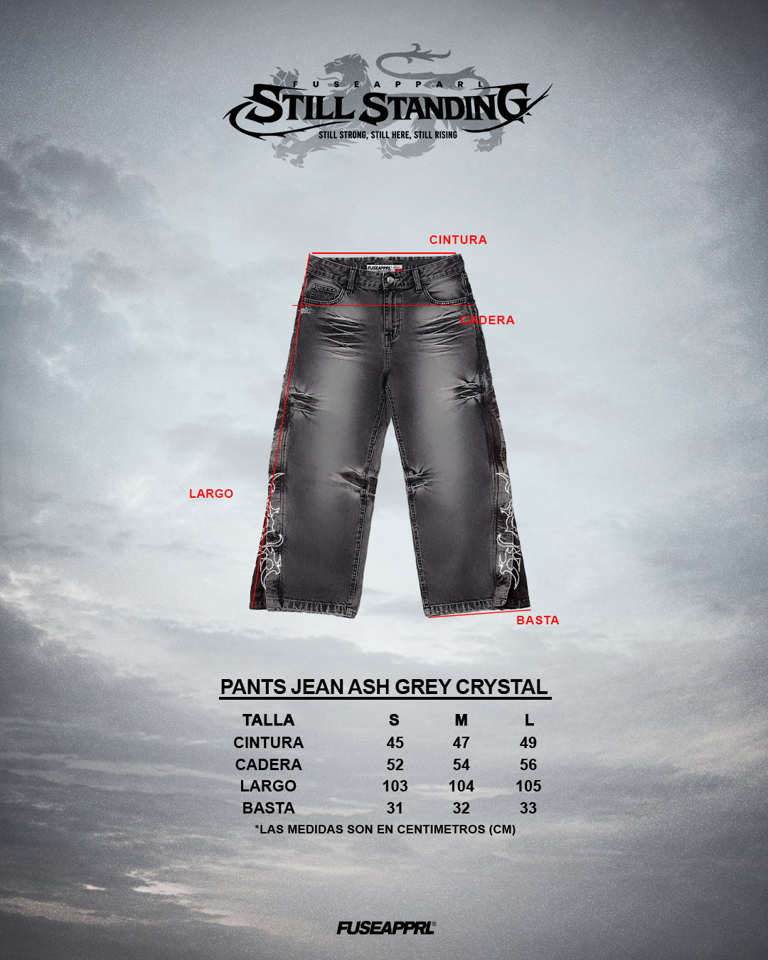 Pants Jean Ash Grey Cristal