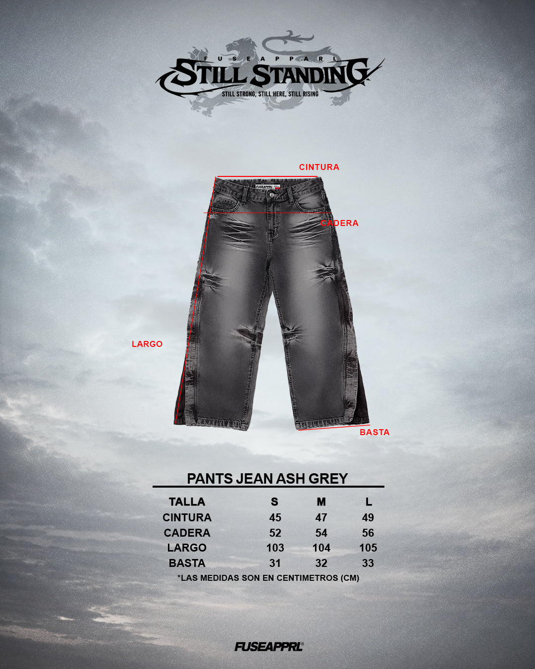 Pants Jean Ash Grey